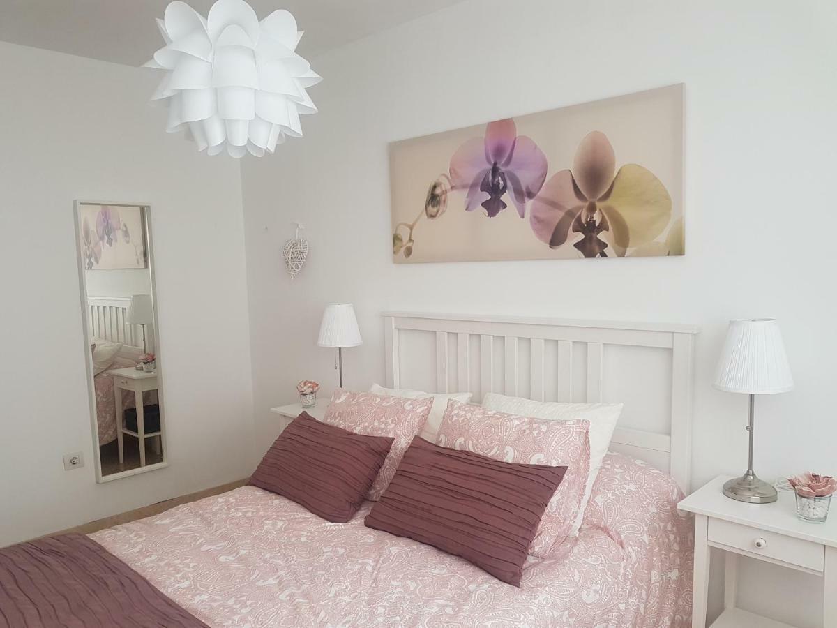 La Quinta Verde ซานตาครูซเดลาปัลมา ภายนอก รูปภาพ
